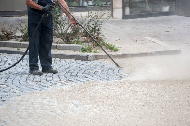 Best Fence Cleaning  in Country Lake Estates, NJ
