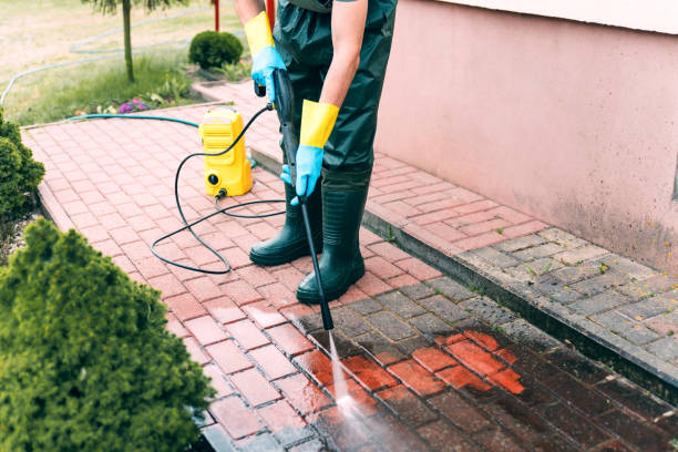 Best Building Exterior Washing  in Country Lake Estates, NJ